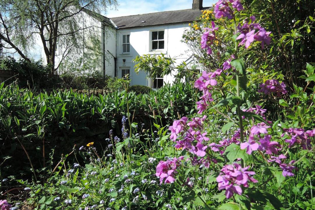 Photo of Others in Heddon-on-the-Wall