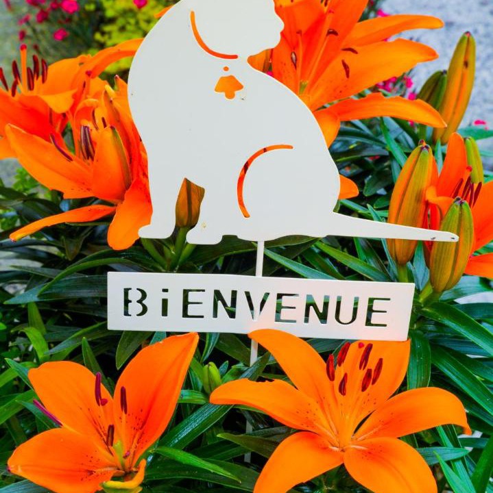 Photo of Others in Saint-Maur-des-Bois