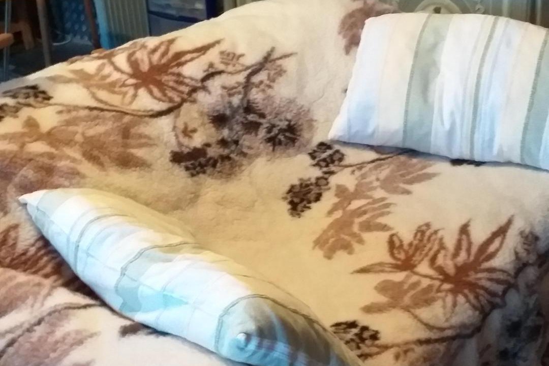 Photo of Others in Saint-Maur-des-Bois