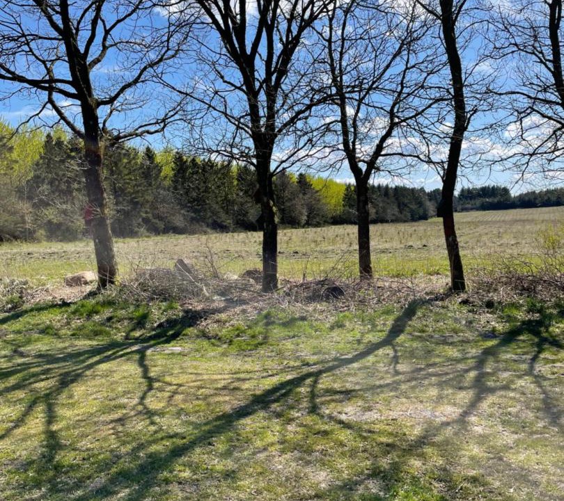 Photo of Others in Vorbasse