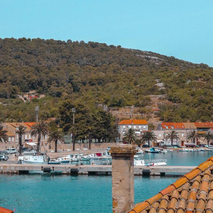 Photo of Others in Vis