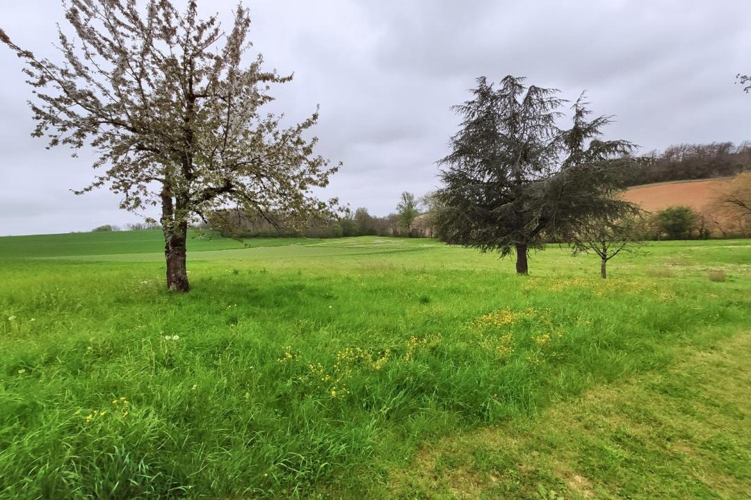 Photo of Others in Peyregoux