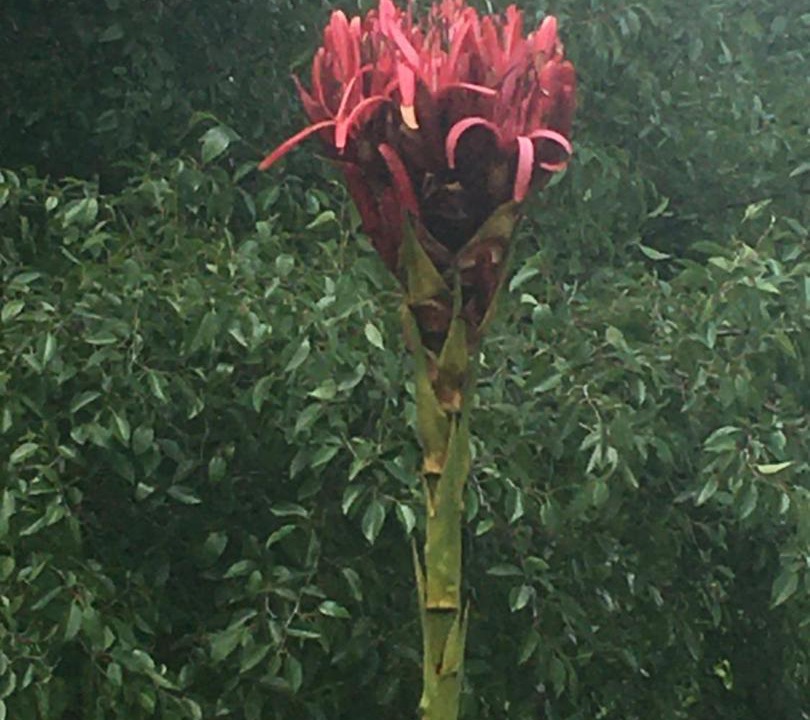 Photo of Outdoor in Dartmouth