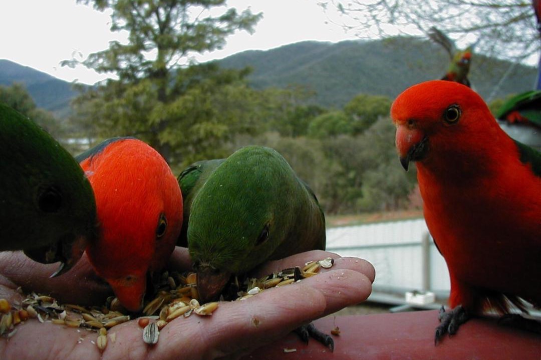 Photo of Others in Dartmouth