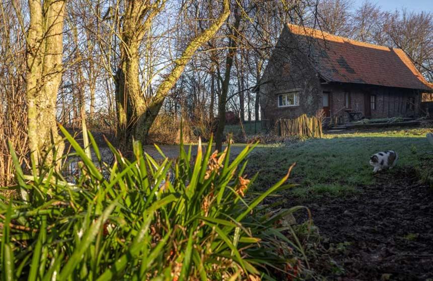 Photo of Buildings in Meteren
