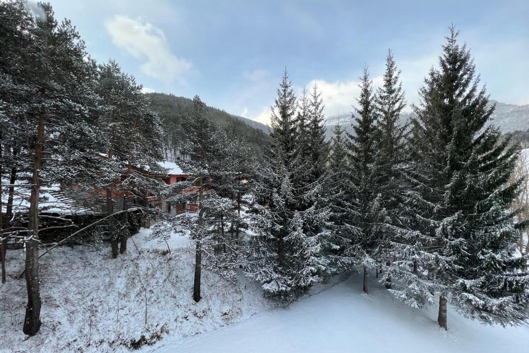 Photo of Others in La Molina