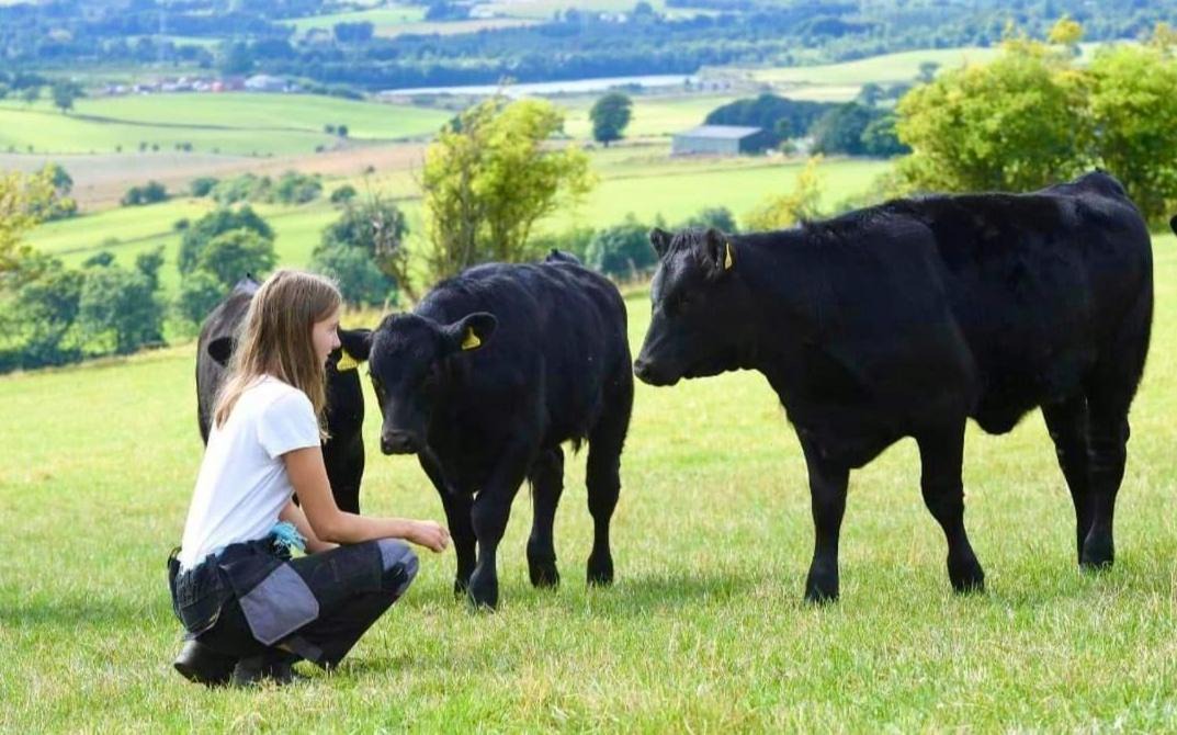 Photo of Others in Bathgate