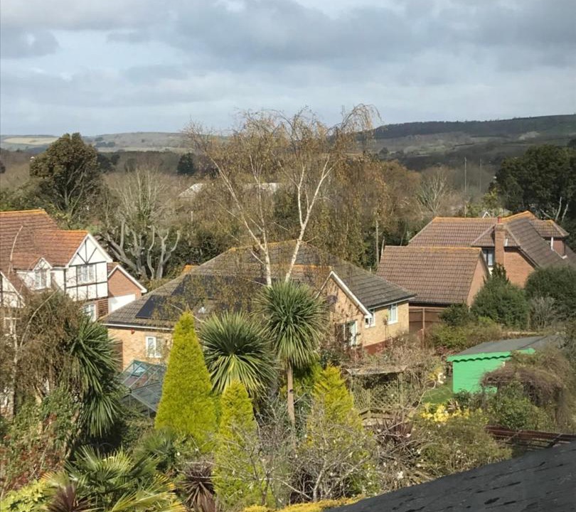 Photo of Others in Sandown