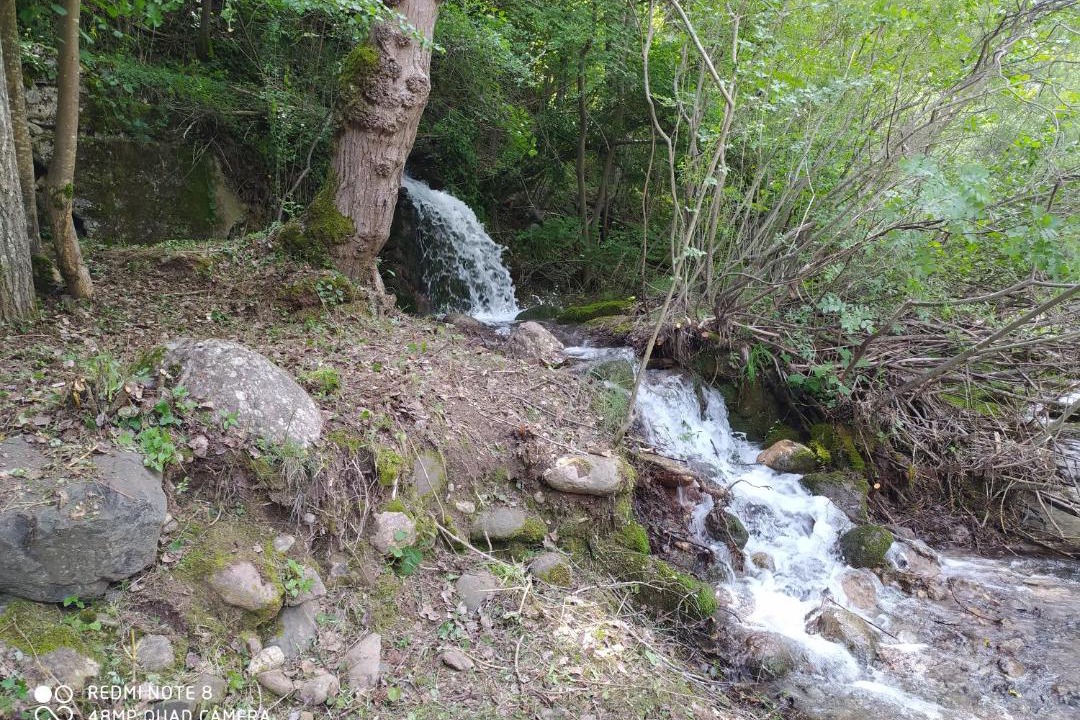 Photo of Outdoor in Senterada