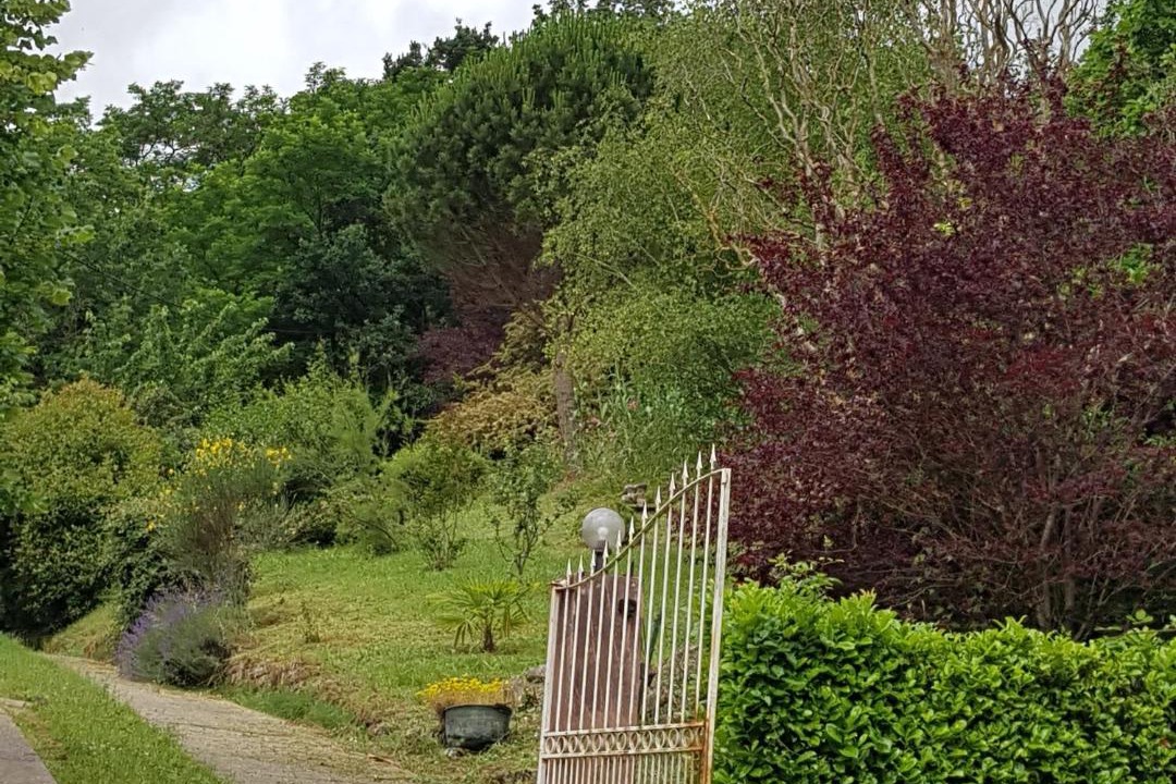 Photo of Others in Saint-Affrique