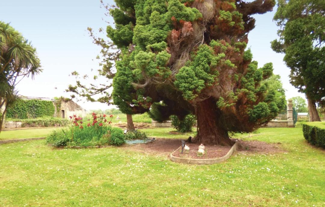 Photo of Outdoor in Valognes