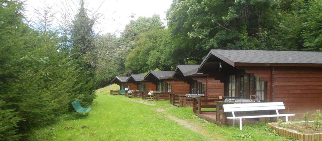 Photo of Others in Lacaune