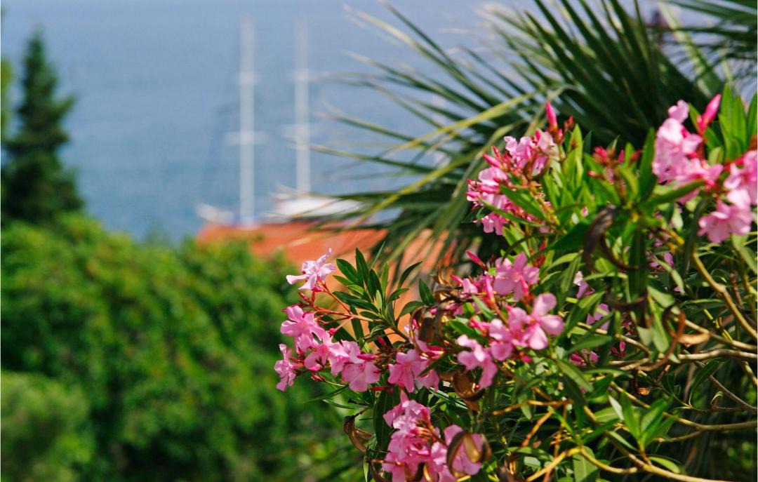 Photo of Outdoor in Bol