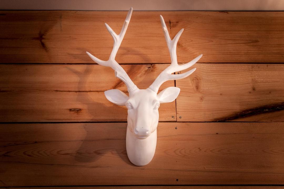 Photo of Others in Landevennec