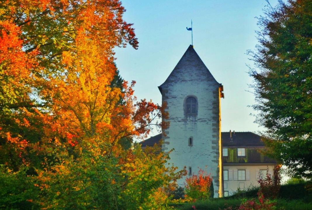 Photo of Others in Romanshorn