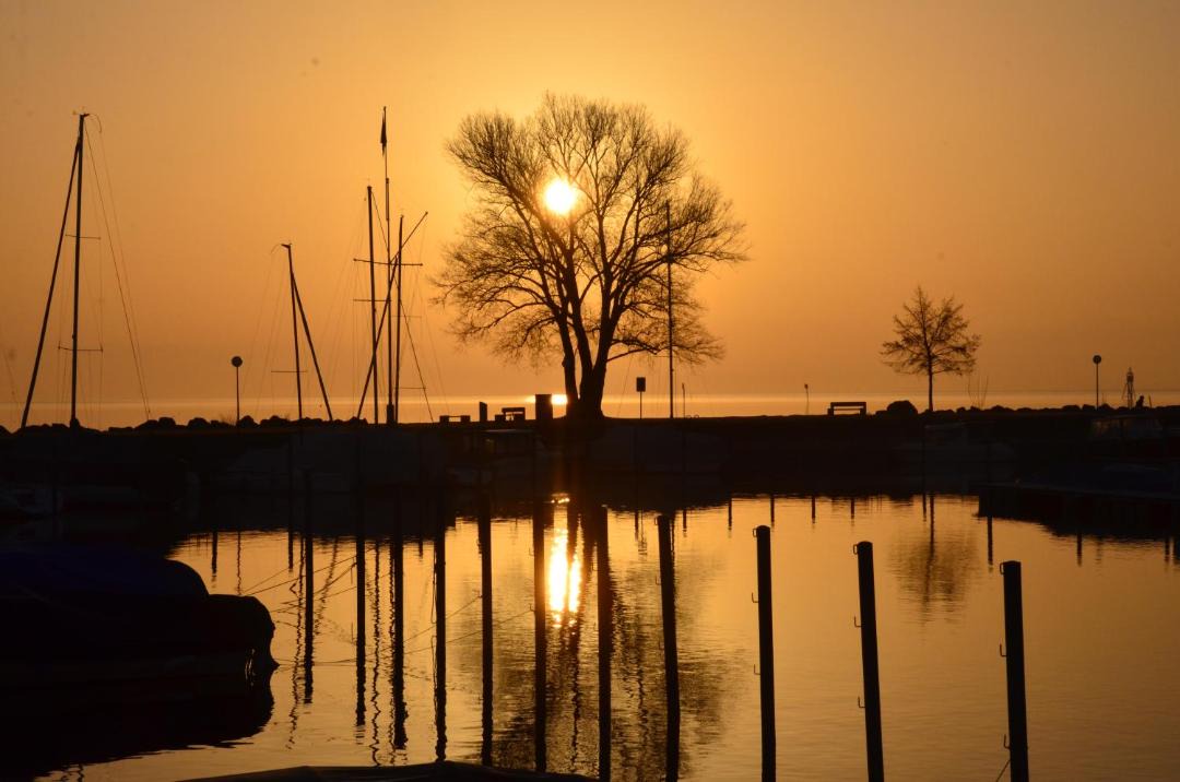 Photo of Others in Romanshorn