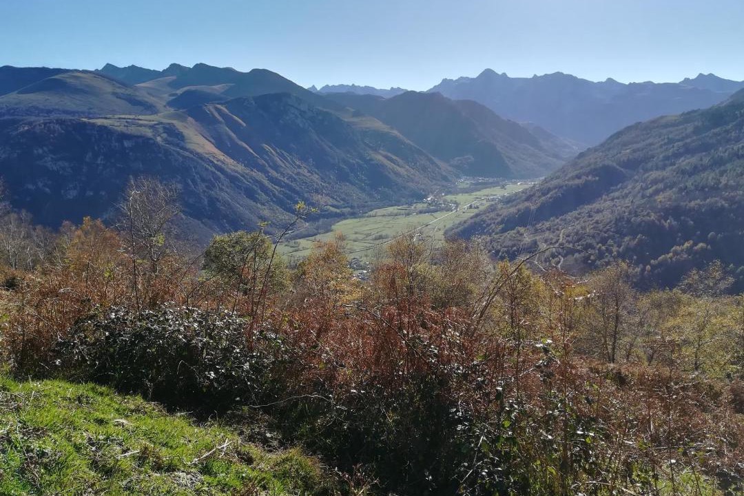 Photo of Others in Bilheres