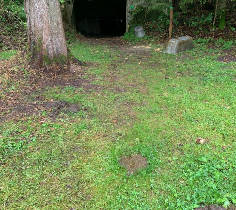 Photo of Others in Travers