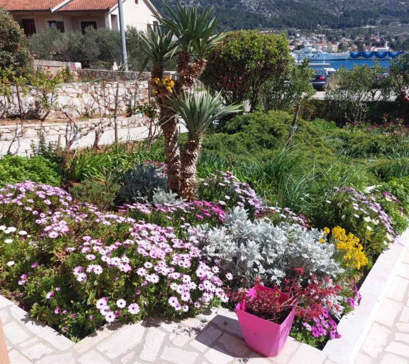 Photo of Others in Cres