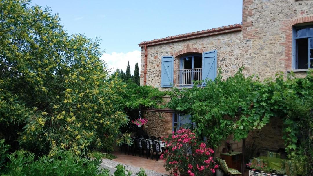 Photo of Others in Camelas