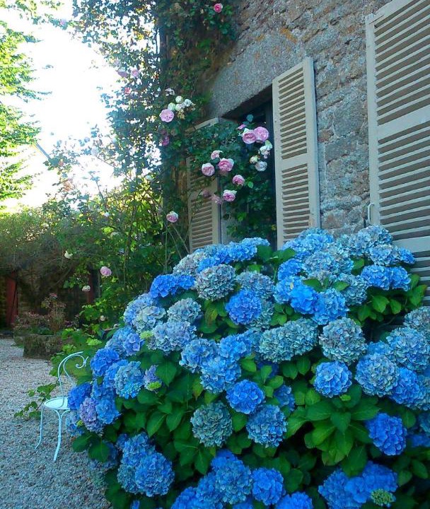 Photo of Others in Quintin