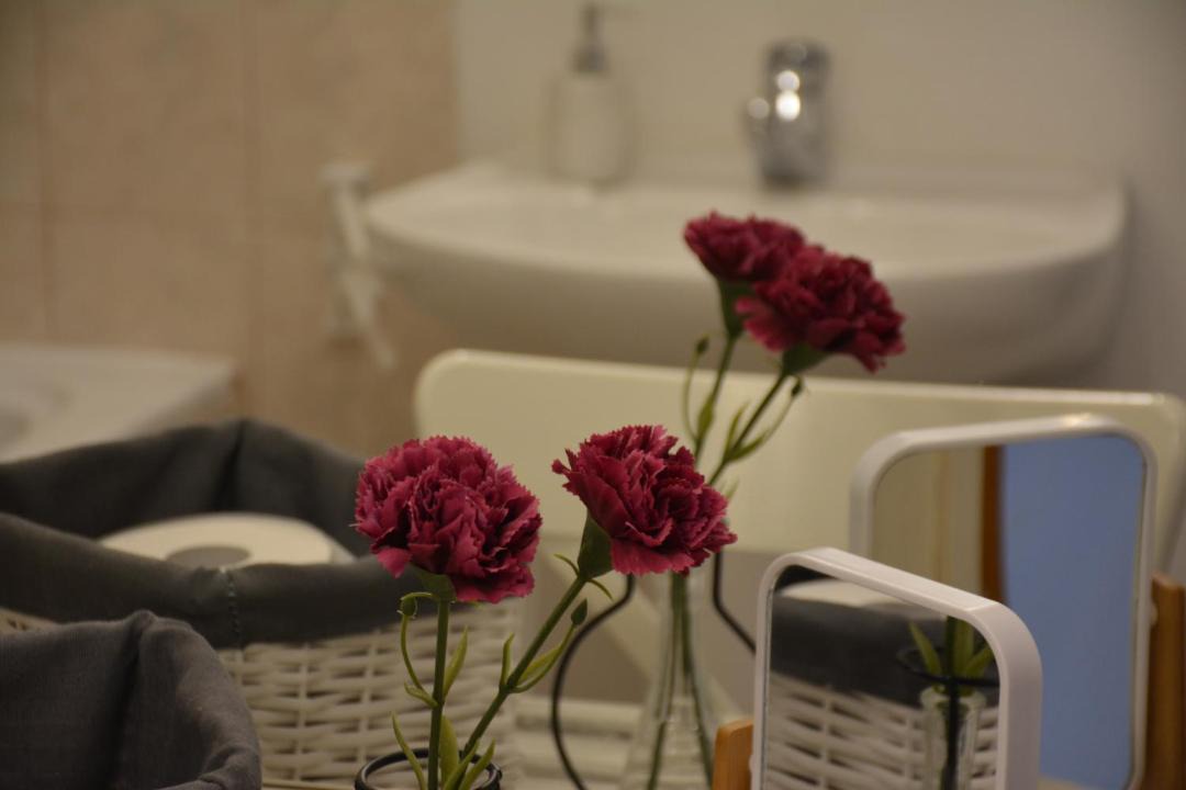 Photo of Bathroom in Lopud Island