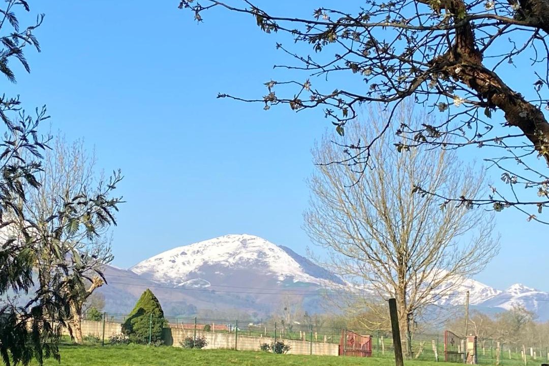 Photo of Others in Ascarat