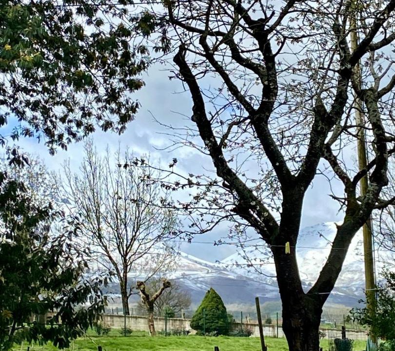 Photo of Others in Ascarat