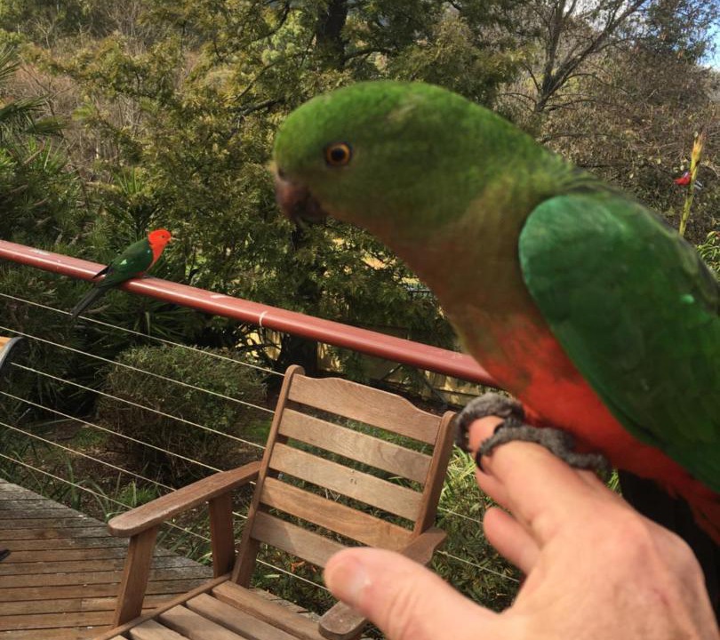 Photo of Others in Dartmouth