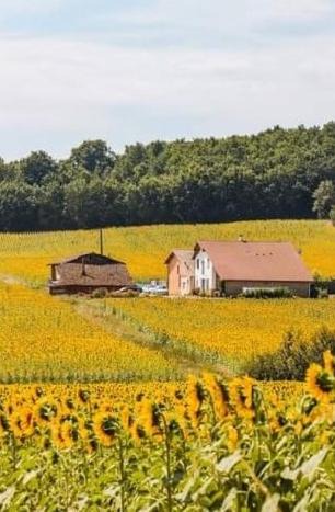 Photo of Others in Le Burgaud