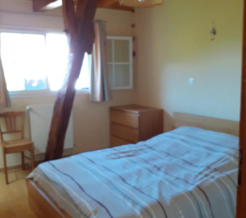 Photo of Others in Ilheu