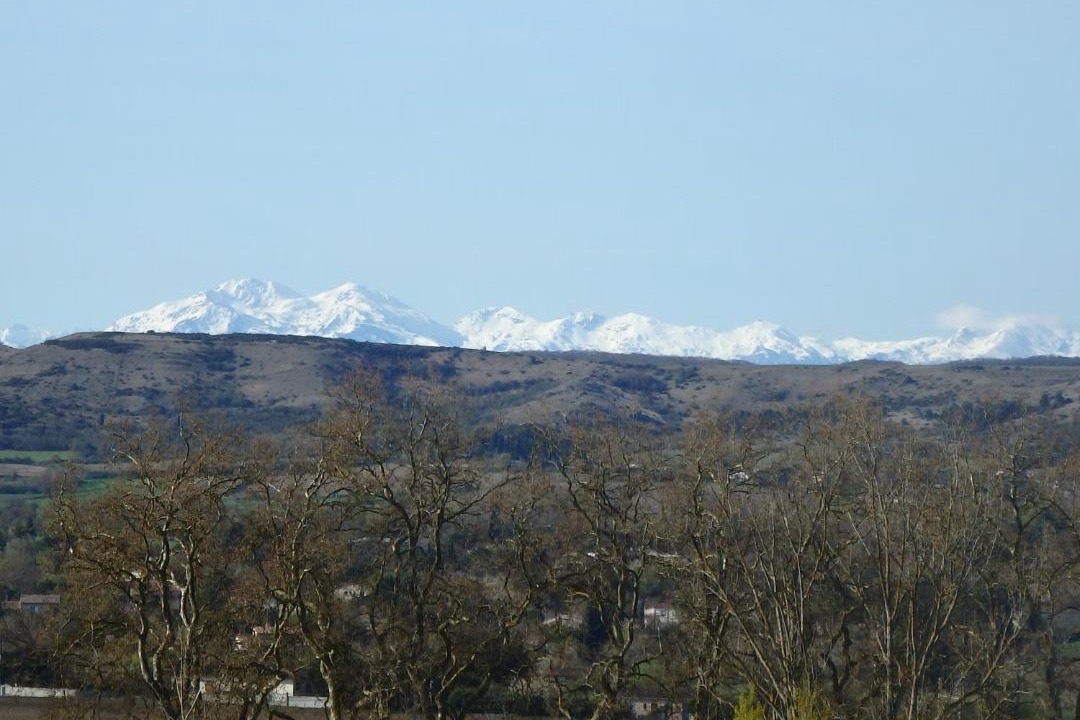 Photo of Others in Castelnaudary