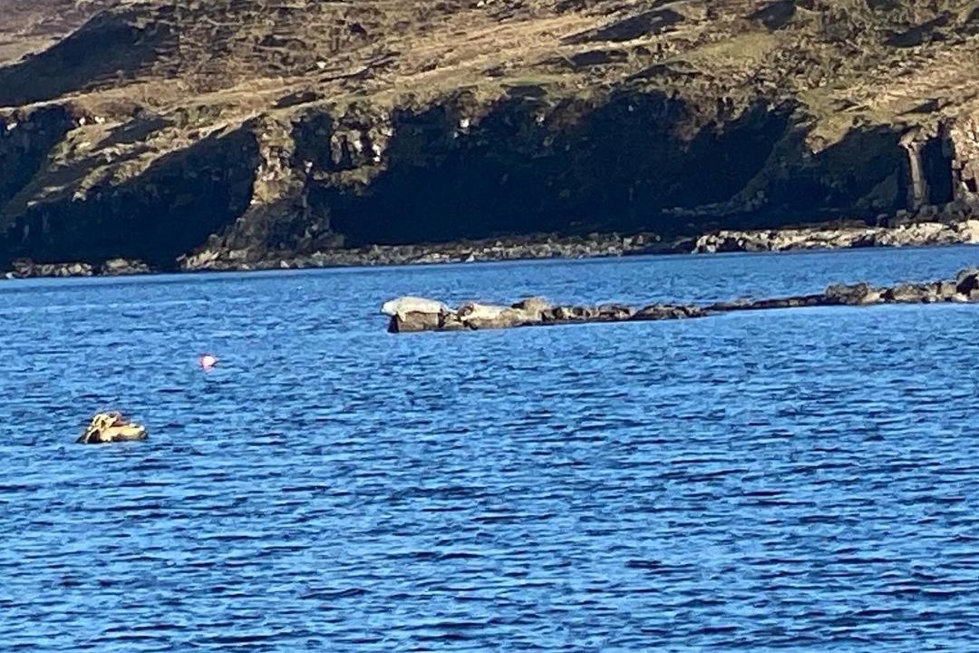 Photo of Others in Colbost