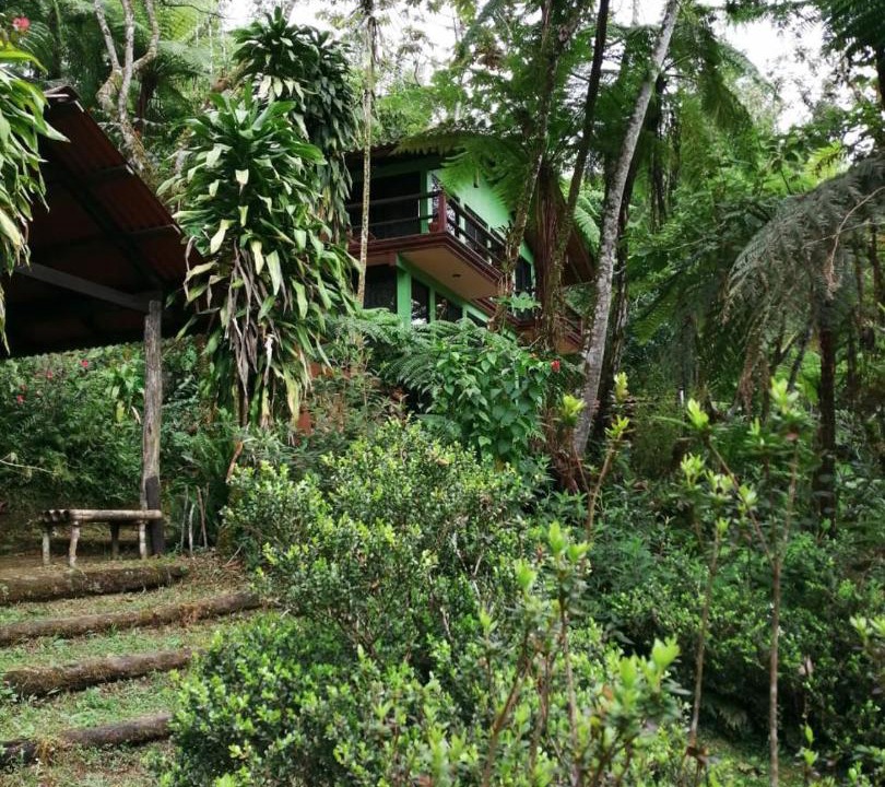 Photo of Others in Cuetzalan del Progreso
