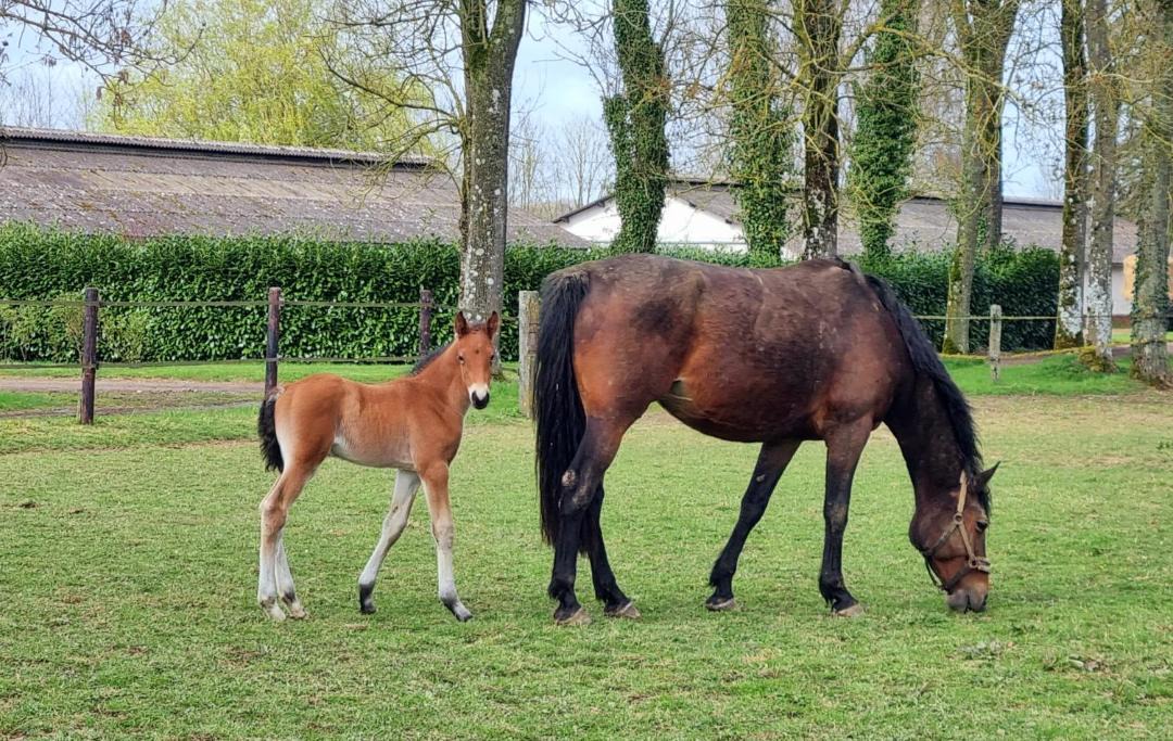 Photo of Others in Formerie