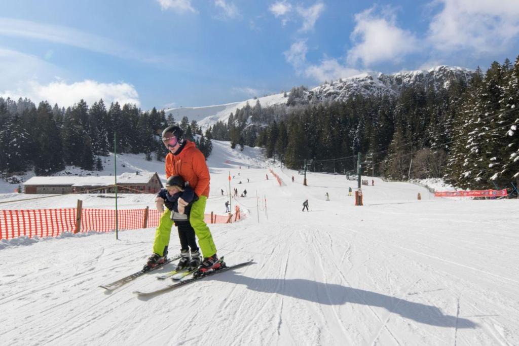 Photo of Others in Munster