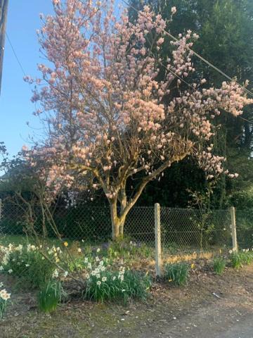 Photo of Others in Nassandres sur Risle