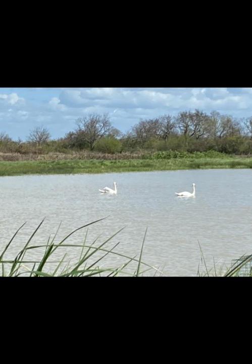 Photo of Outdoor in Grayan-Et-L'Hopital