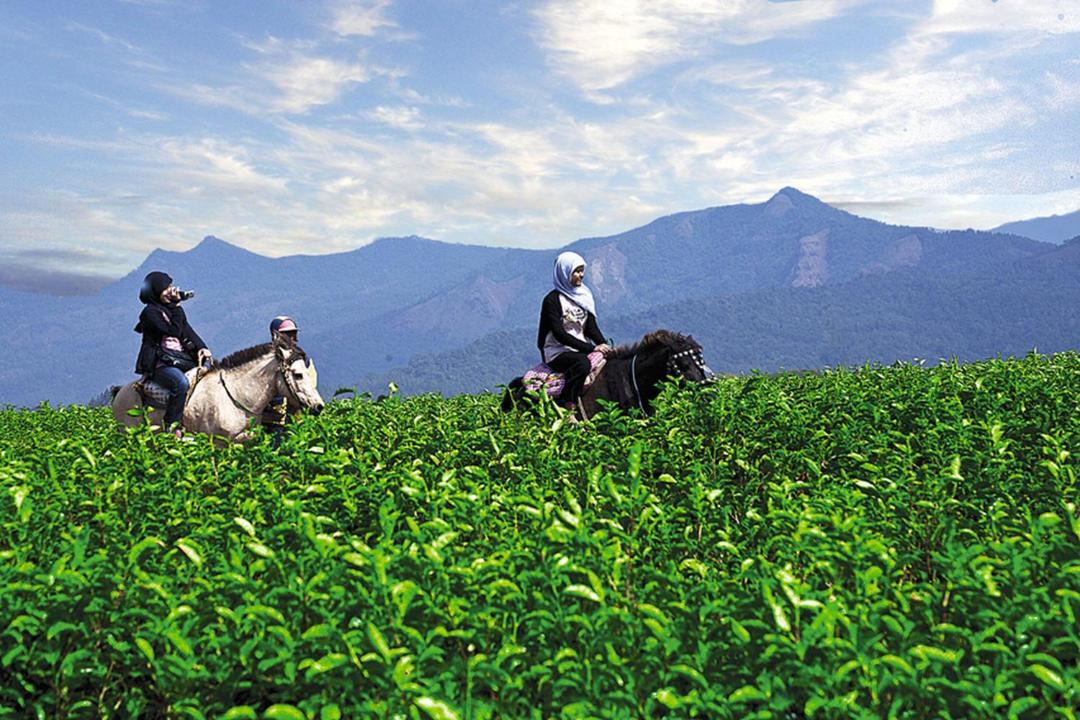 Photo of Outdoor in Tinggimoncong