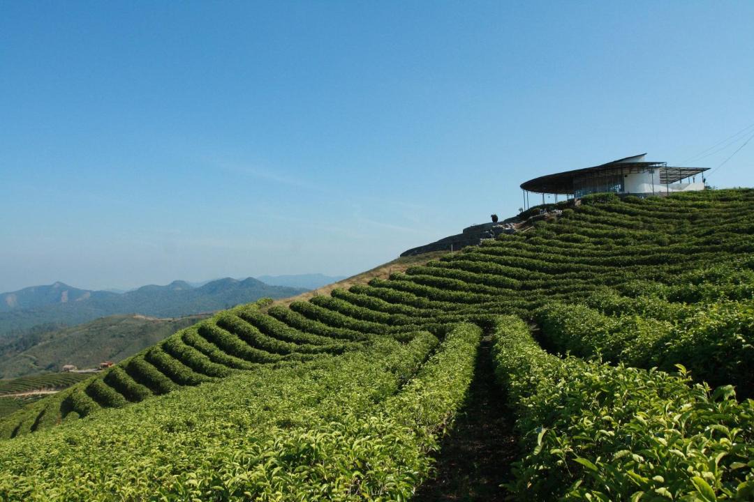 Photo of Others in Tinggimoncong