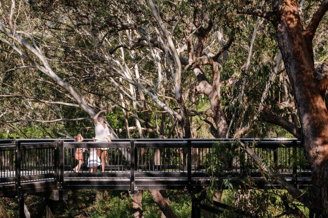 Photo of Others in One Mile