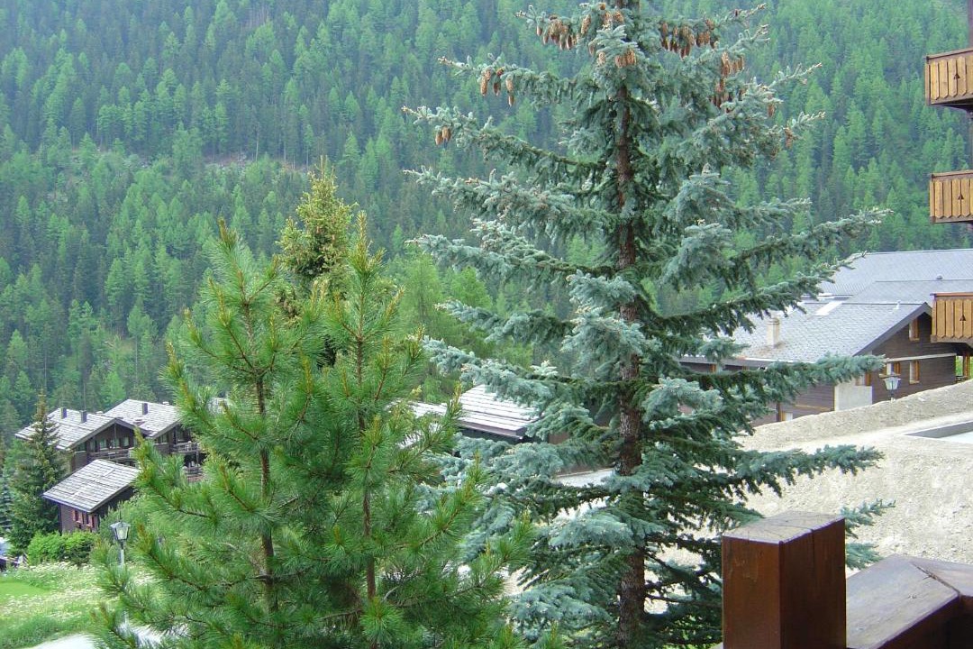 Photo of Others in Grimentz