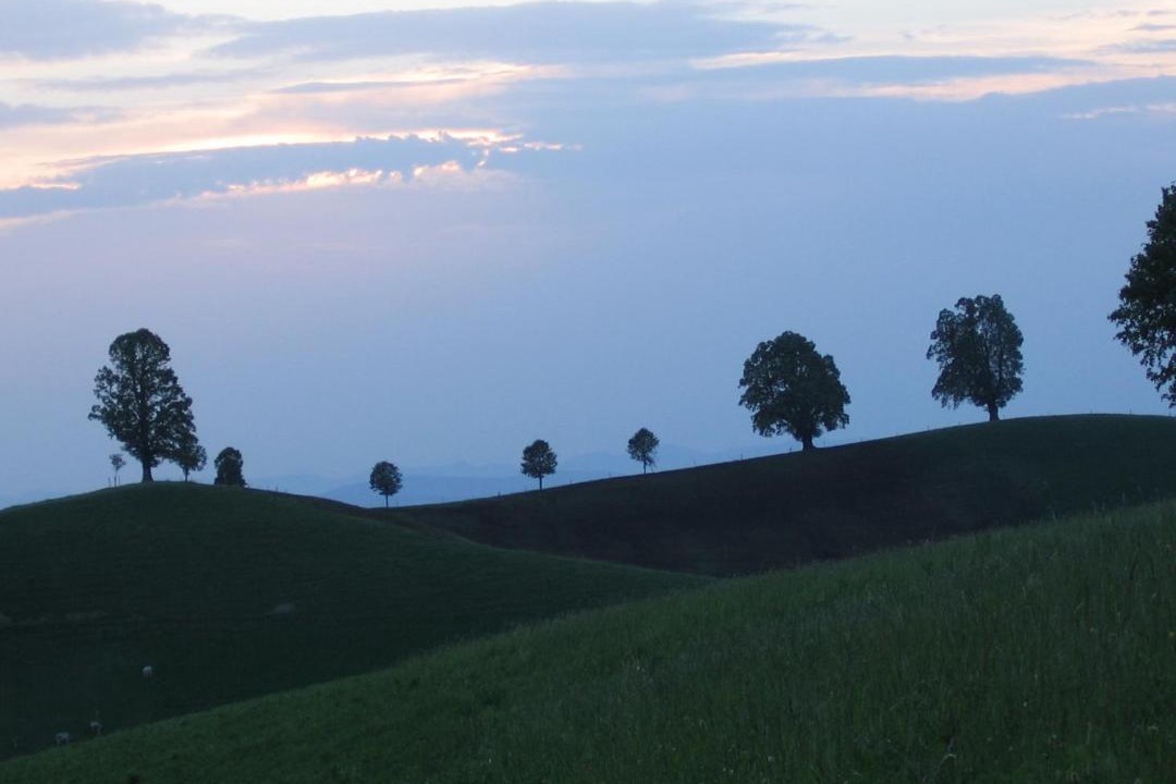 Photo of Others in Menzingen