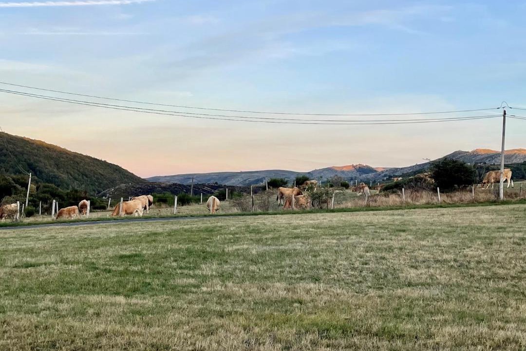Photo of Others in Pont-de-Montvert-Sud-Mont-Lozere
