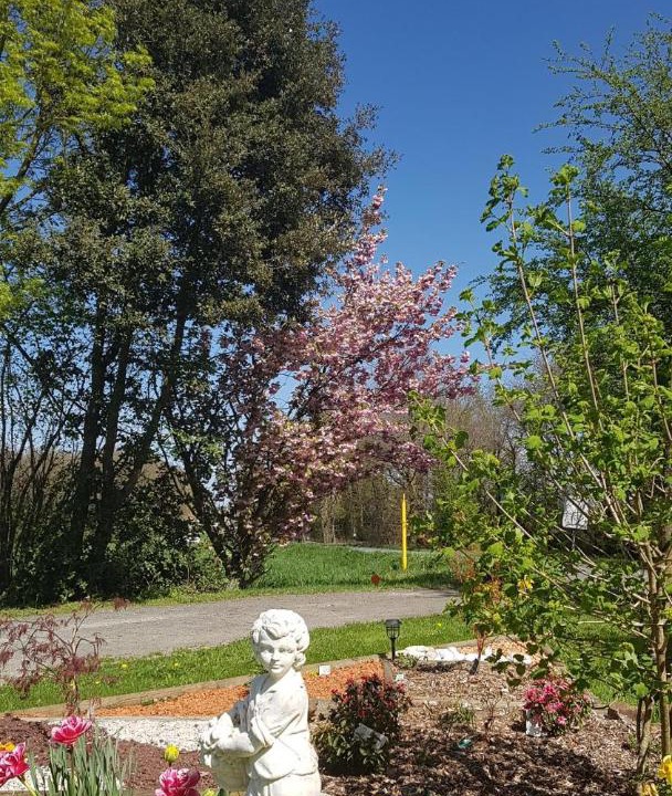 Photo of Others in Cholet