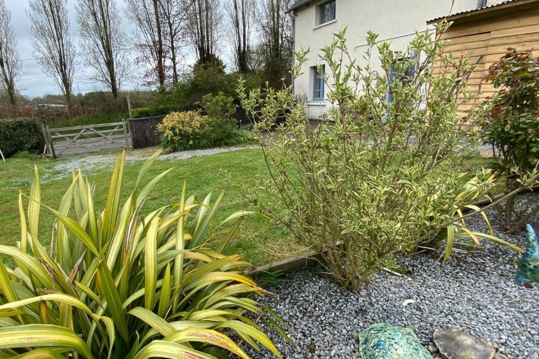 Photo of Buildings in Meneac