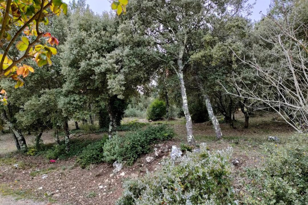 Photo of Outdoor in Sillans-la Cascade