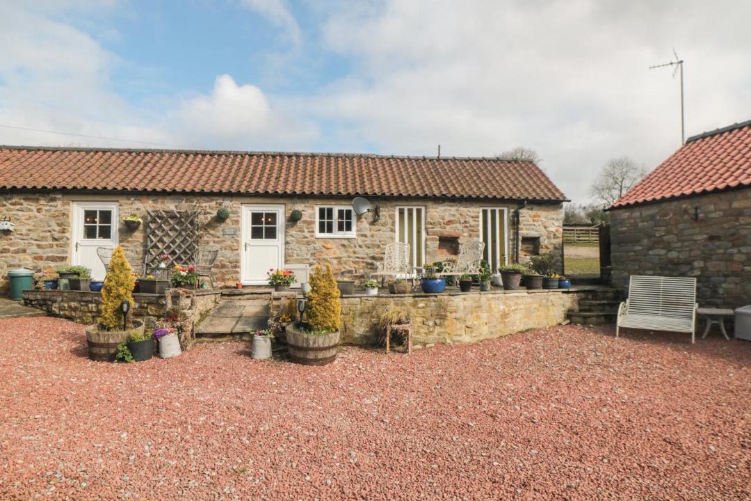Photo of Others in North York Moors National Park