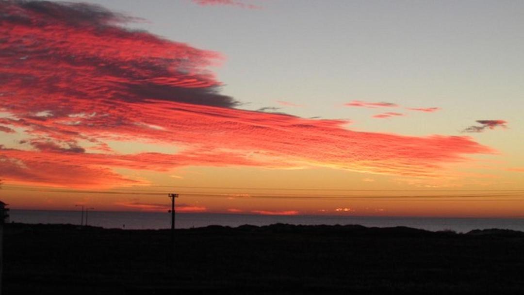 Photo of Others in Corpus Christi