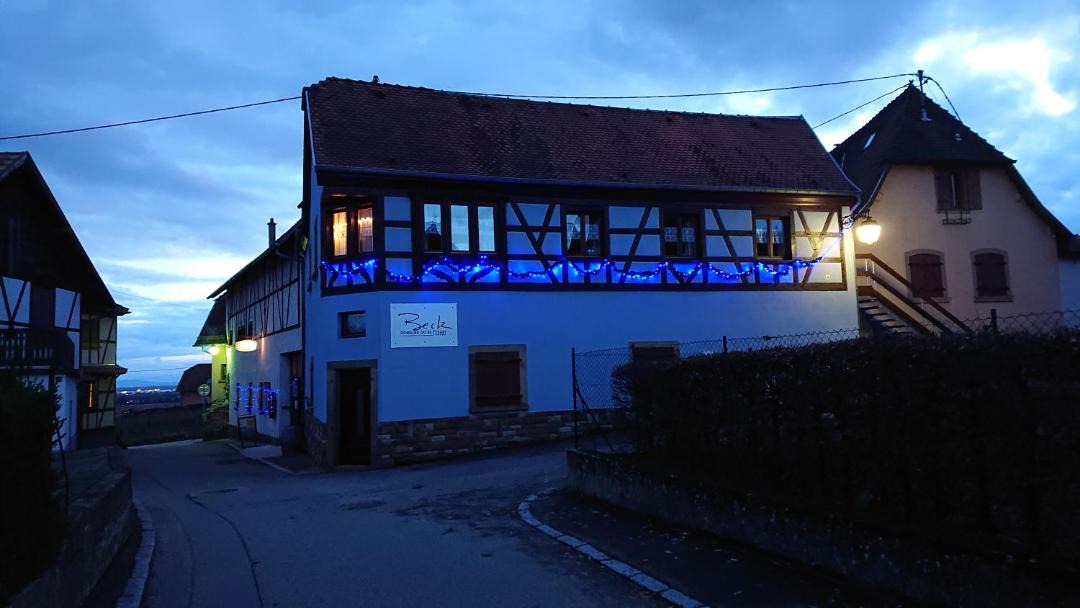 Photo of Others in Dambach-la-Ville